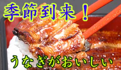季節到来！うなぎがおいしい